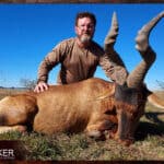 Red Hartebeest Hunting - All You Need to Know About Hartebeest Hunts 22 Africa hunting Red Hartebeest with Nick Bowker.