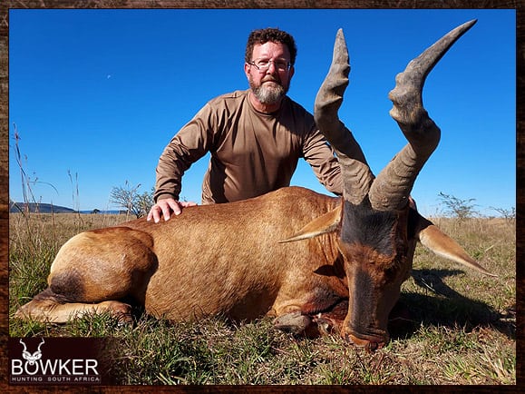Red Hartebeest Hunting - All You Need to Know About Hartebeest Hunts 17 Africa hunting Red Hartebeest with Nick Bowker.