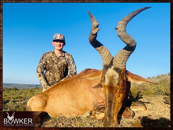 Red Hartebeest Hunting - All You Need to Know About Hartebeest Hunts 8 Africa hunting red hartebeest with Nick Bowker.
