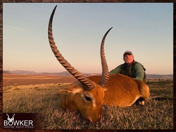 Red Lechwe Hunting. All You Need to Know About Lechwe Hunts 30 Africa hunting Red Lechwe with Nick Bowker.
