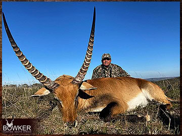 Trophy Hunting South Africa 117 africa red lechwe hunting with Nick Bowker.