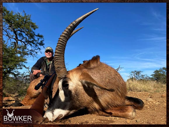 Roan Antelope Hunting - All You Need to Know About Roan Hunts 5 Africa hunting Roan Antelope with Nick Bowker.