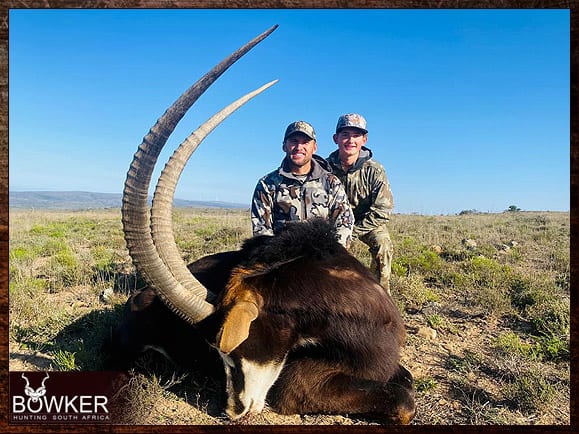 The Thrill of Sable Antelope Hunting: Guide to Hunting Sable 15 Africa hunting with Nick Bowker.