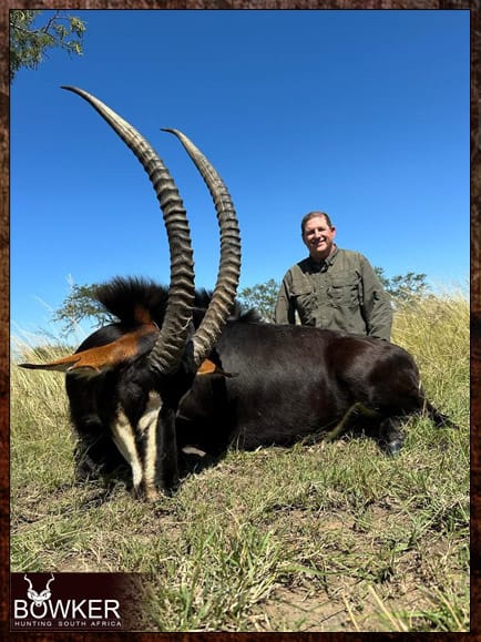 The Thrill of Sable Antelope Hunting: Guide to Hunting Sable 13 Trophy shot in 2023
