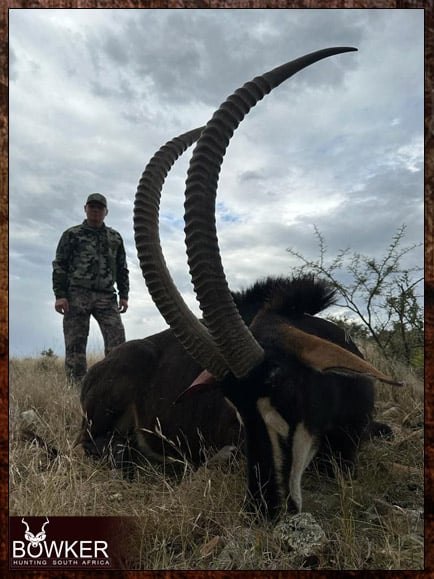 The Thrill of Sable Antelope Hunting: Guide to Hunting Sable 16 Rifle hunted with Nick Bowker