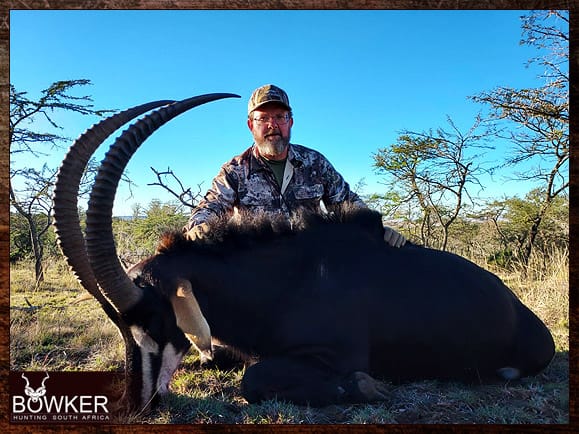 The Thrill of Sable Antelope Hunting: Guide to Hunting Sable 36 Africa hunting with Nick Bowker.