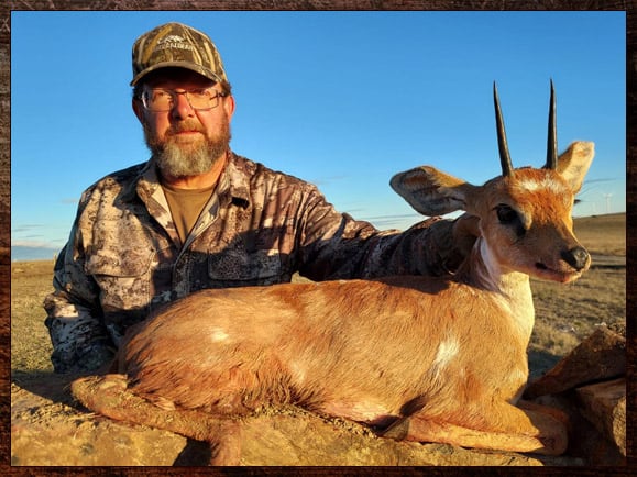 Steenbok Hunting - All You Need to Known About Hunting Steenbok 7 Africa steenbok hunting with Nick Bowker.
