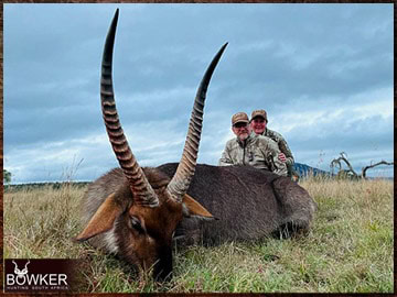 Trophy Hunting South Africa 23 Africa hunting waterbuck with Nick Bowker.