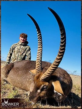 Trophy Hunting South Africa 15 Africa waterbuck hunting with Nick Bowker.