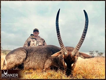 Trophy Hunting South Africa 31 Africa hunting. Waterbuck hunt with Nick bowker.