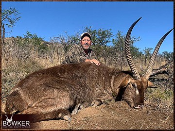 Trophy Hunting South Africa 29 Africa hunting. Waterbuck hunt with Nick bowker.