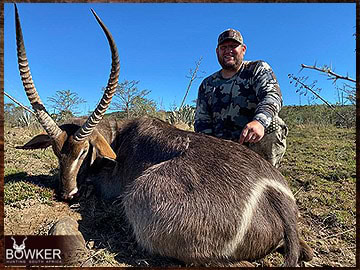 Trophy Hunting South Africa 28 Africa waterbuck hunting with Nick Bowker