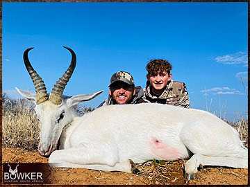 Trophy Hunting South Africa 47 Africa hunting white springbok with Nick Bowker.