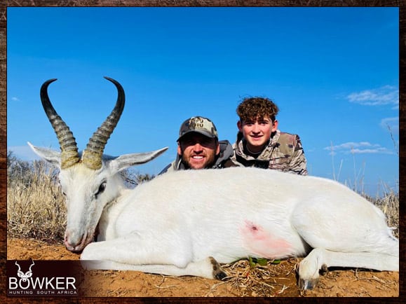 Springbok Hunting in - All You Need to Know About Springbok Hunts 10 Africa hunting white springbok.