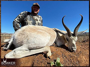 Trophy Hunting South Africa 42 Africa white springbok hunting with Nick Bowker.