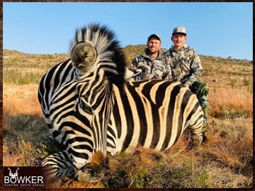 Trophy Hunting South Africa 157 Africa Zebra hunting with Nick Bowker.