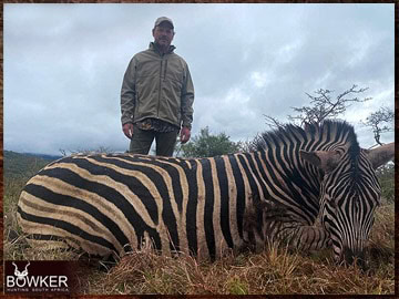 Trophy Hunting South Africa 154 Africa hunting. Zebra hunt with Nick bowker.
