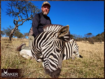Trophy Hunting South Africa 156 Africa hunting Zebra with Nick Bowker.