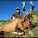 Red Hartebeest Hunting - All You Need to Know About Hartebeest Hunts 19 Africa red hartebeest hunt in 2023.