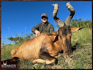 Trophy Hunting South Africa 216 Africa red hartebeest hunt in 2023.