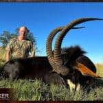 The Thrill of Sable Antelope Hunting: Guide to Hunting Sable 28 Africa Sable Antelope hunt in 2023.