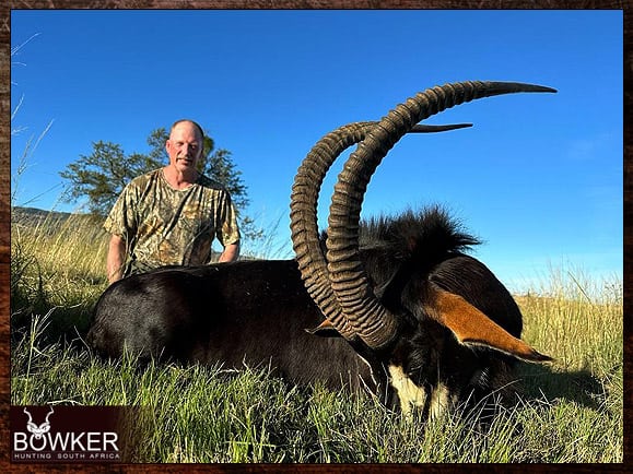 The Thrill of Sable Antelope Hunting: Guide to Hunting Sable 3 Africa Sable Antelope hunt in 2023.