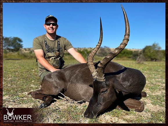 Black Impala Hunting - All You Need to Know About Black Impala Hunts 4 African black impala hunt.