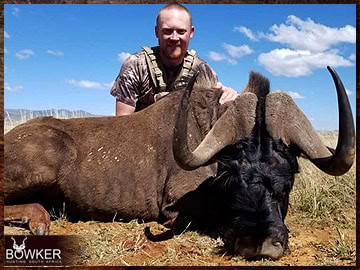Trophy Hunting South Africa 164 African Black Wildebeest hunt.