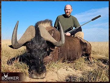 Trophy Hunting South Africa 165 African Black Wildebeest hunt.