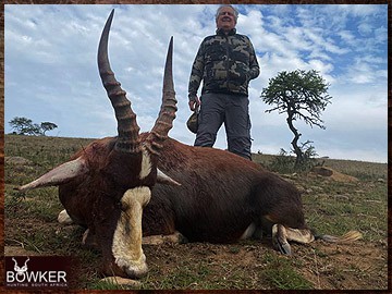 Trophy Hunting South Africa 92 African blesbok hunt with Nick Bowker.