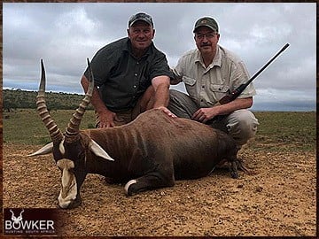 Trophy Hunting South Africa 83 African blesbok safari hunting.