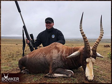 Trophy Hunting South Africa 84 African blesbok safari hunting.