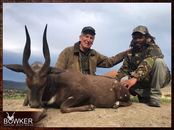 Bushbuck Hunting - Discover the Thrill of a Bushbuck Hunt 18 Bushbuck hunt in South Africa.