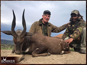 Trophy Hunting South Africa 121 African bushbuck hunt.