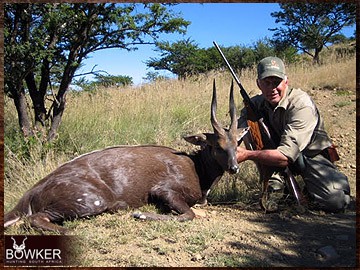 Trophy Hunting South Africa 120 African bushbuck hunt.