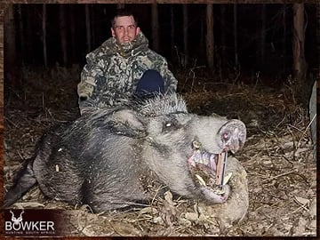 Trophy Hunting South Africa 145 African Bushpig hunting.