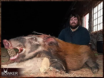 Trophy Hunting South Africa 144 African Bushpig hunting.