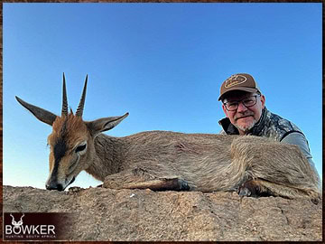 Trophy Hunting South Africa 169 African grey duiker hunting with Nick Bowker.