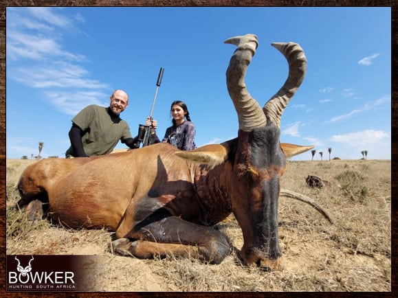 Red Hartebeest Hunting - All You Need to Know About Hartebeest Hunts 12 African hunt safari style with Nick Bowker.