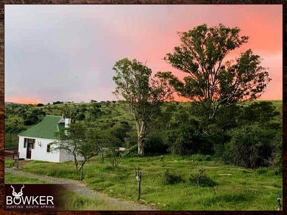 Low-Fenced African Hunting 6 Accommodation for Hunting with Nick Bowker