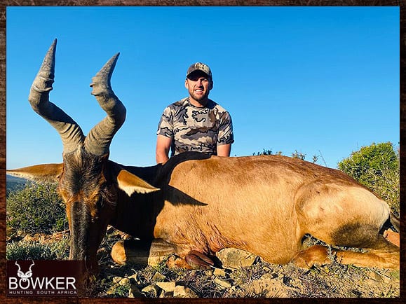 Eland shooting is done off three legged shooting sicks. African hunting safari planning.
