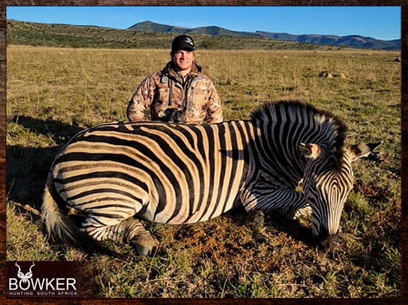 African Management and Trophy Hunt 7 Zebra trophy and management hunt.