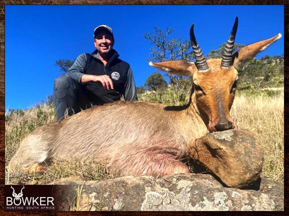 Mountain Reedbuck Hunting - About Reedbuck Hunts 9 African mountain reedbuck hunting