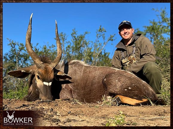 Nyala Hunting - All You Need to know about Nyala Hunts 9 Trophy showing the magnificent orange legs.