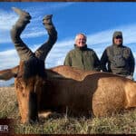 Red Hartebeest Hunting - All You Need to Know About Hartebeest Hunts 20 African red hartebeest hunt with Nick Bowker.