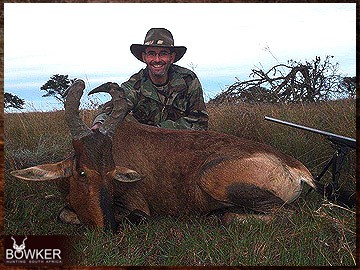 Trophy Hunting South Africa 210 African red hartebeest hunt.