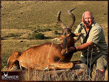 Trophy Hunting South Africa 208 African red hartebeest hunt.
