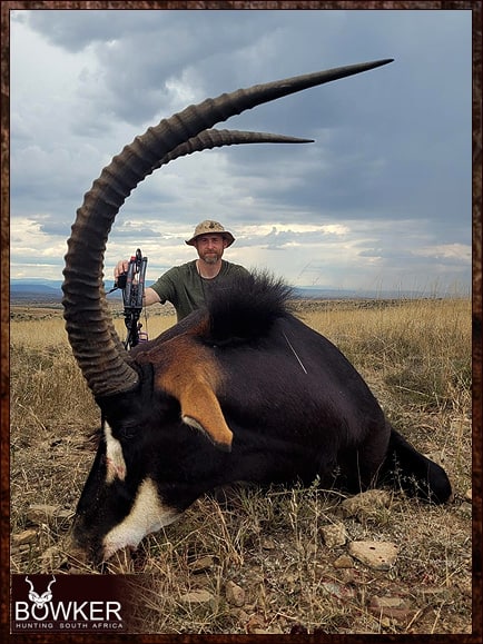 The Thrill of Sable Antelope Hunting: Guide to Hunting Sable 22 African hunting with Nick Bowker.