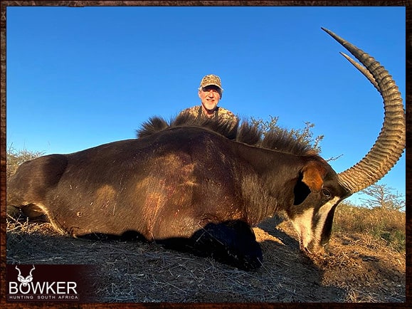 The Thrill of Sable Antelope Hunting: Guide to Hunting Sable 14 Nick Bowker Hunting