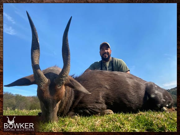 Bushbuck Hunting - Discover the Thrill of a Bushbuck Hunt 7 African safari bushbuck hunt with Nick Bowker.